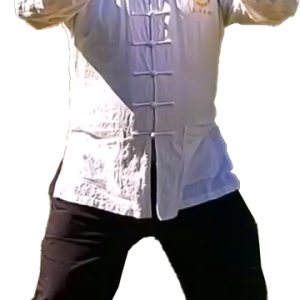 Luis Javier